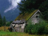 Cabane dans un champ - Cabane dans un champ.jpg